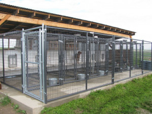 Outdoor Dog Kennel Facilities