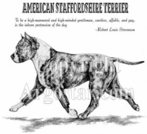 American Staffordshire Terrier Stevenson Quote