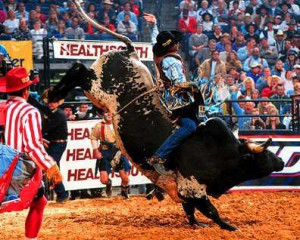 Lane Frost Quotes and Sayings http://www.blingcheese.com/image/code/16 ...
