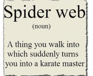 Spider Web Definition