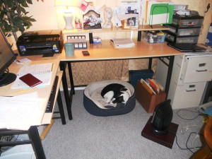 More of my zen office with my doggie...yes..