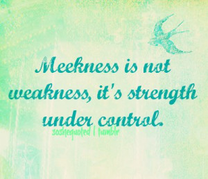 joyce meyer quote about meekness
