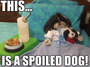 Pinned by Brenda Lovejoy