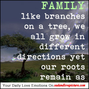 ... on a tree, we all grow in different directions yet our roots remain as