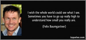 Felix Baumgartner Quote