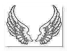 Photo Drawings Angel Wings