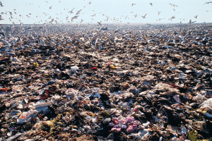 The Fresh Kills landfill, in all its putrid glory, 1990.