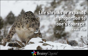 Life shrinks or expands in proportion to one's courage. - Anais Nin