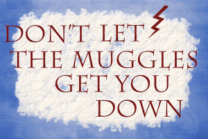 RoomWithAMoose › Portfolio › Don't Let The Muggles Get You Down!