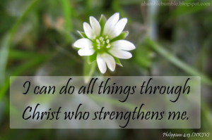 of My Favorite Bible Verses