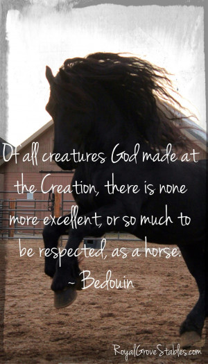 Royal Grove Stables Blog