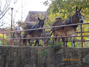 Sunday, October 24, 2010