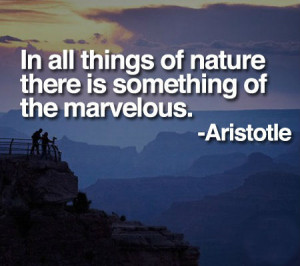 All Things Nature There Something Marvelous Aristotle