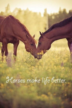 Horses make life better