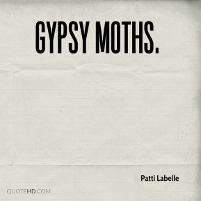 Moths Quotes