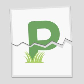 Marching Band Competition at Morris Knolls (Credit: Provided)