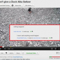 Most popular funny pictures of the day