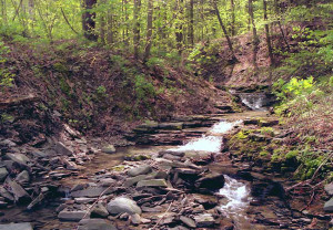 Givans Creek Woods Weather