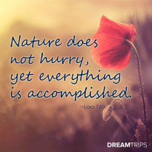 Nature does not hurry, yet everything is accomplished. #dreamtrips # ...