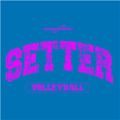 Volleyball Setter Quotes Tumblr Setter