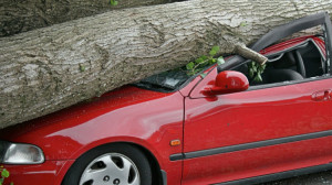 When to Cut Comprehensive and Collision From Your Car Insurance Quote