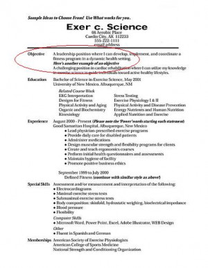 The resume objective statement has been replaced by the title and ...