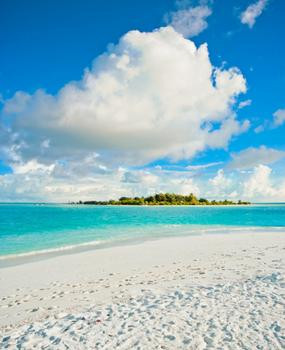 Vacation to the beach or the mountains?