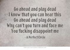 ... aggressive bullshit passive by a perfect circle more a perfect circle