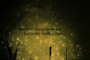 Quotes About Love And Fireflies #2