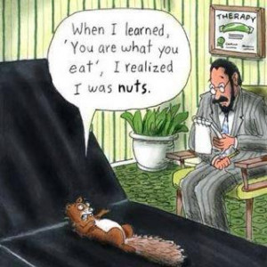 Funny squirrel goes to the psychologist