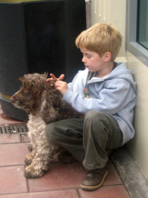 Photos Boy And His Dog Are