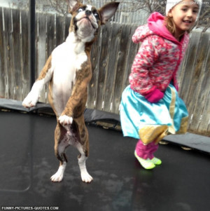 Girl with her dog on a Trampoline