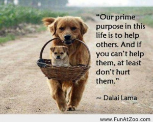 Funny Dalai Lama Quote of the day