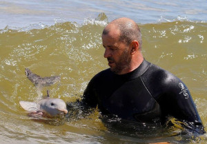 swimmer holding up a baby dolphin in the water.