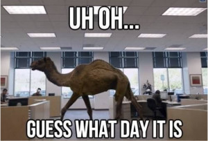 Hump Day, August 20, 2014