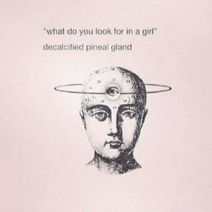 pineal gland