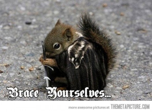 Funny photos funny squirrel Boromir brace yourselves