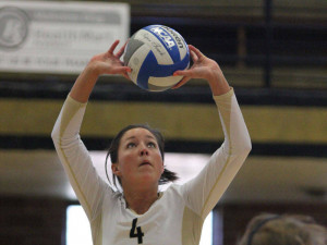 Related Pictures volleyball slogans funny volleyball sayings to make ...