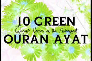 10 Quran Verses On The Environment And Do-able Action Plans