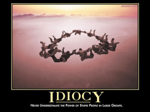 13 – Idiocy – Never underestimate the power of stupid people in ...