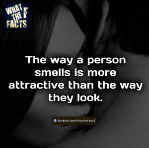 Smell is more attractive than looks