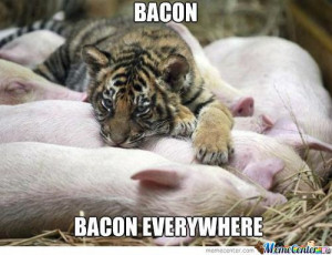 Yummy Bacon….EVERYWHERE!