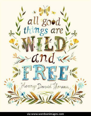 Quotes by thoreau