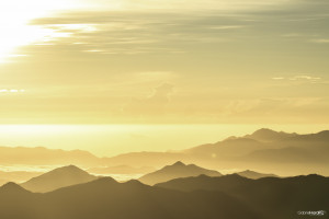 ... meanwhile in dominican republic funny quotes funny facts funny