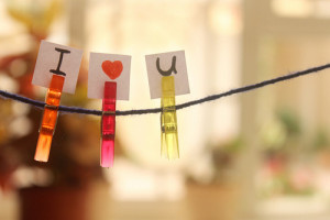 2011 Google Terms - Download Picasa - Launch Picasa -