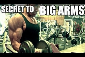 Funny Arm Workout Memes Bigger Arms Bigger Biceps