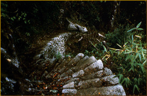 Camino Del Inca Esculpido En La Roca picture