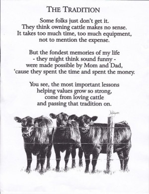 The tradition of show cattle