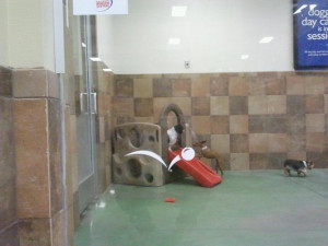 view original image )