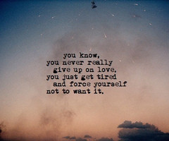 in collection: quotes